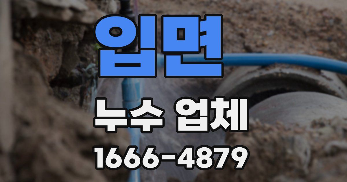 입면 누수 업체