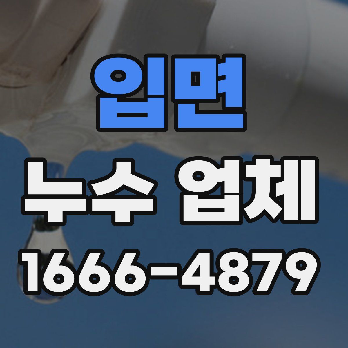 입면 누수 업체