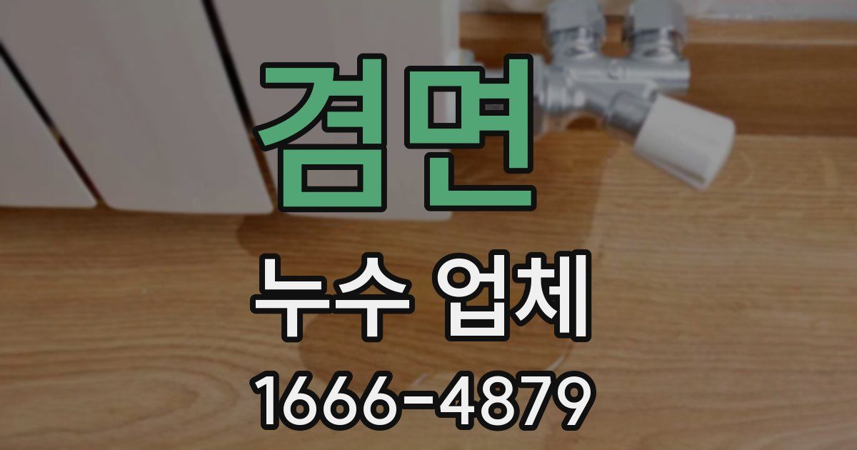 겸면 누수 업체
