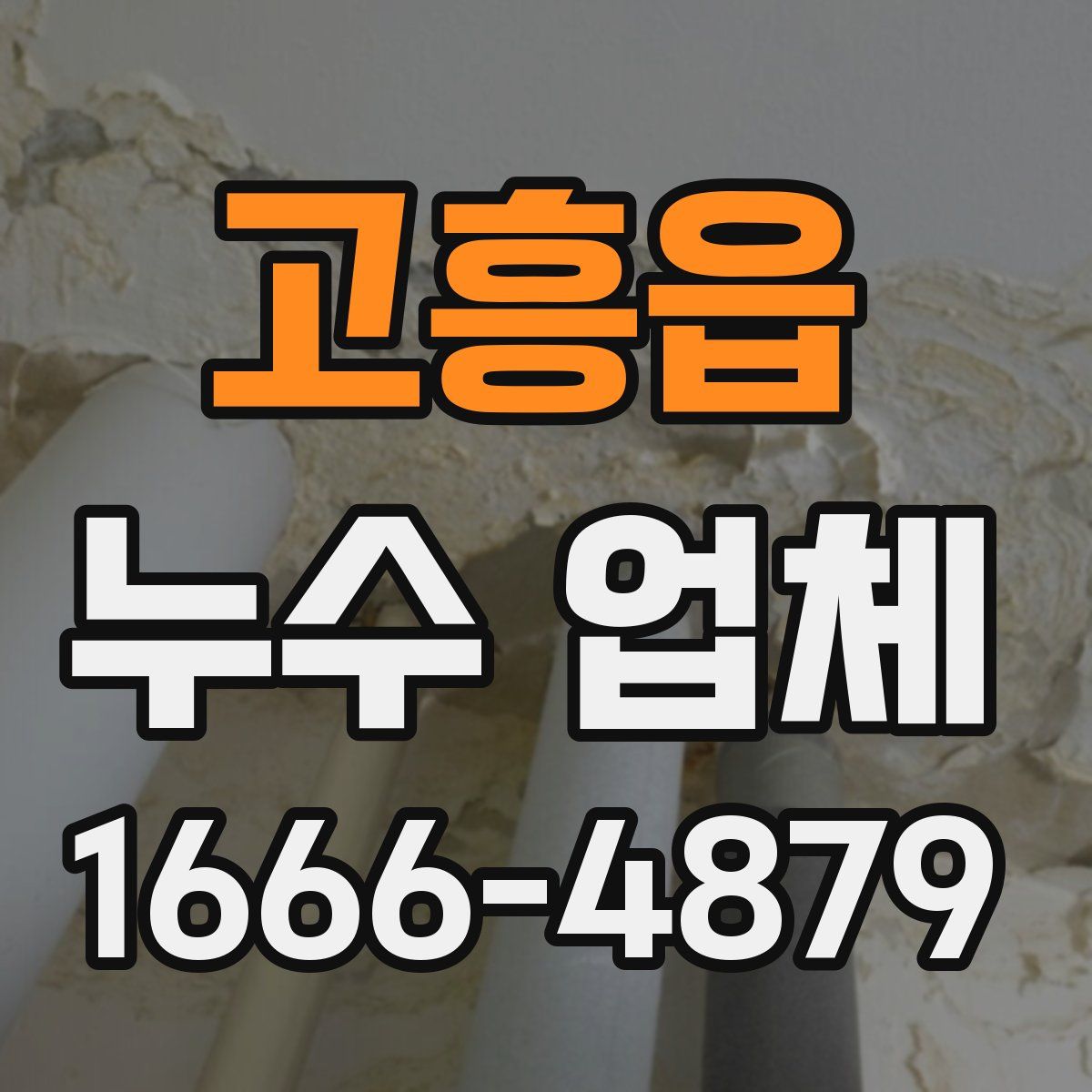 고흥읍 누수 업체
