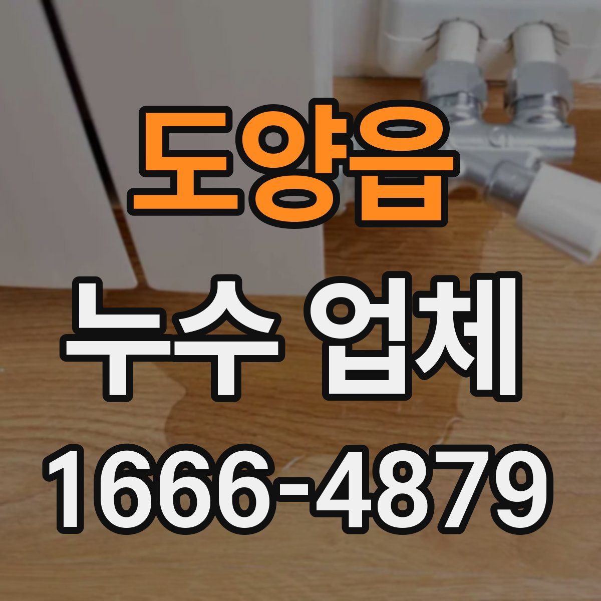 도양읍 누수 업체