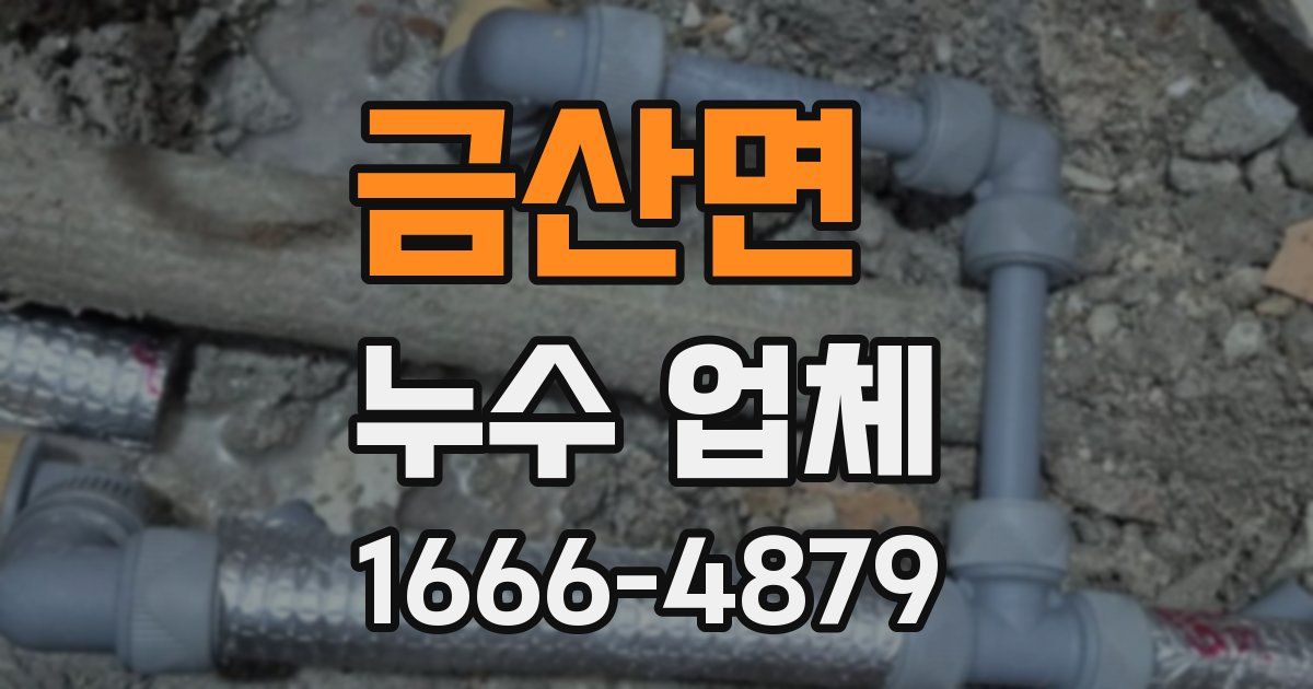 금산면 누수 업체