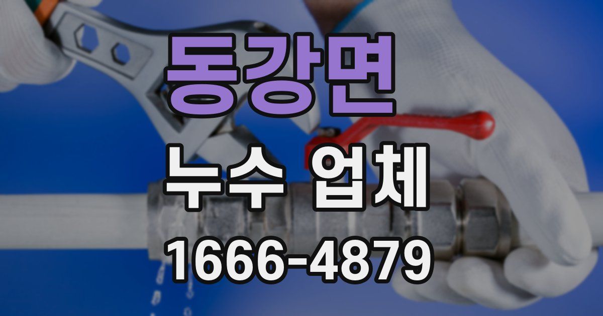 동강면 누수 업체