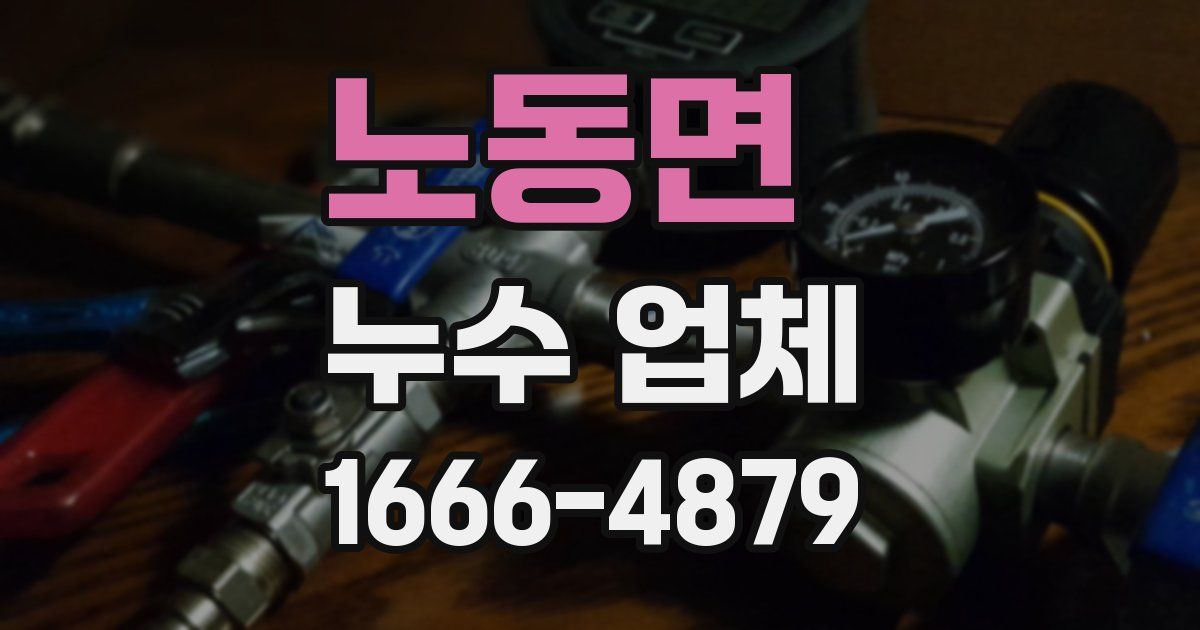 노동면 누수 업체
