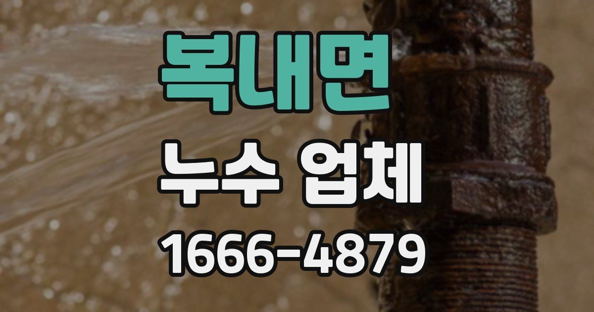 복내면 누수 업체