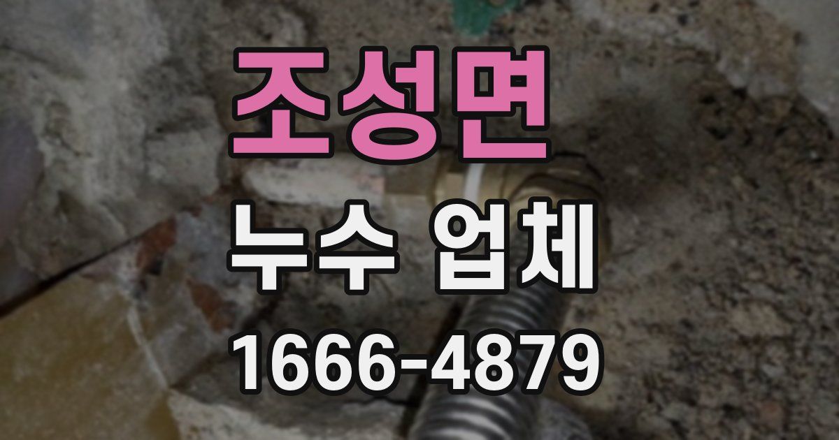 조성면 누수 업체