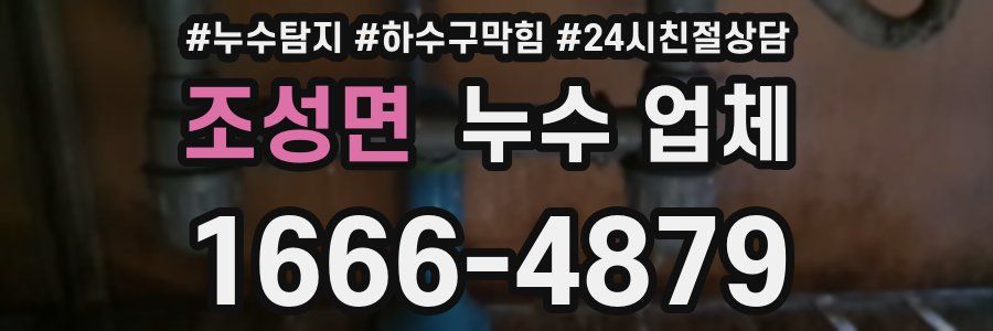 조성면 누수 업체