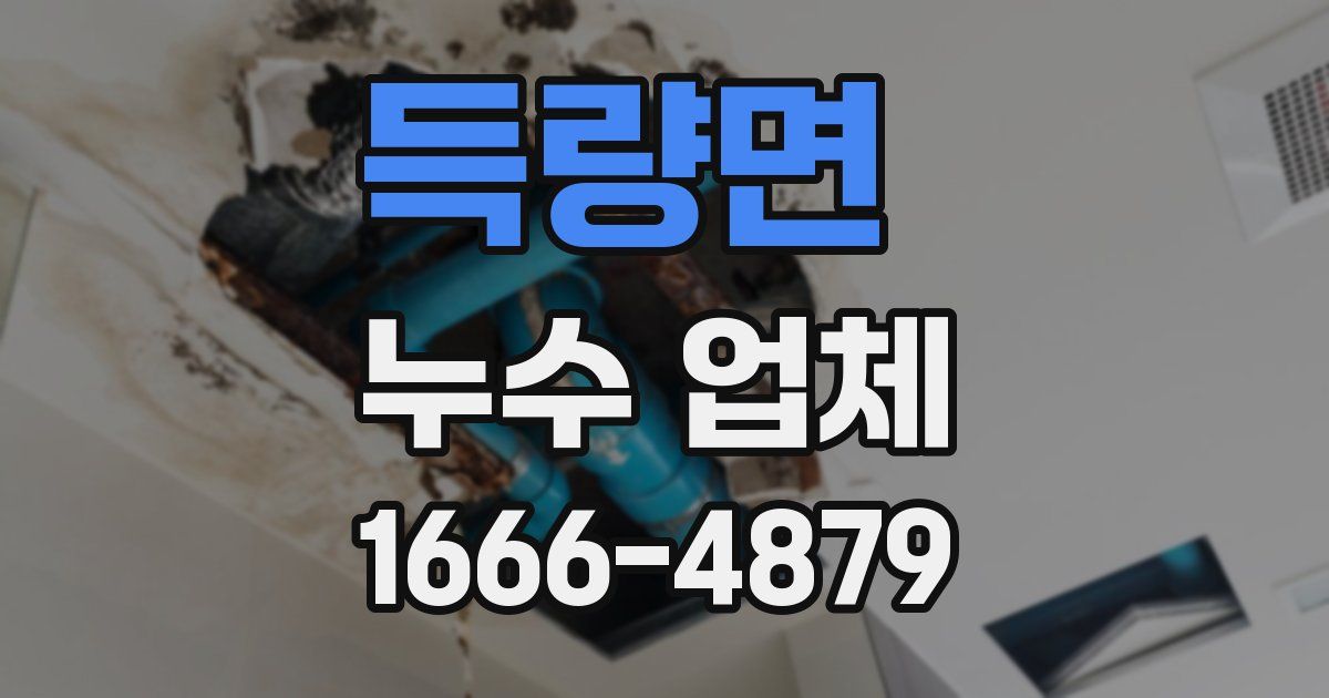 득량면 누수 업체