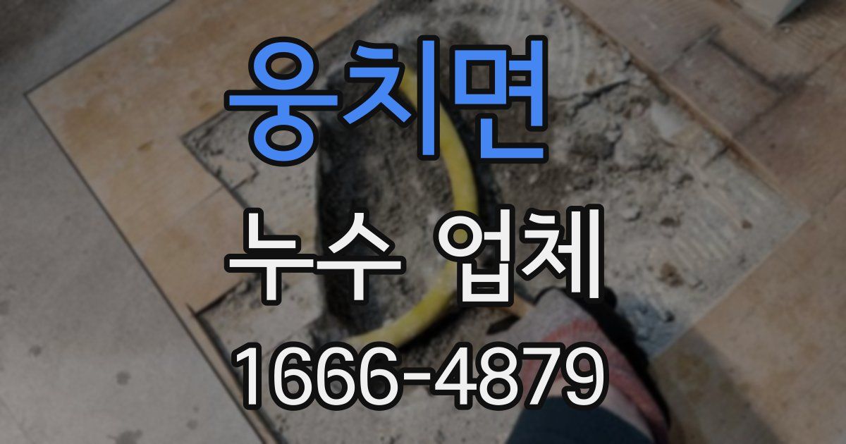 웅치면 누수 업체