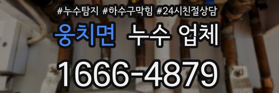 웅치면 누수 업체
