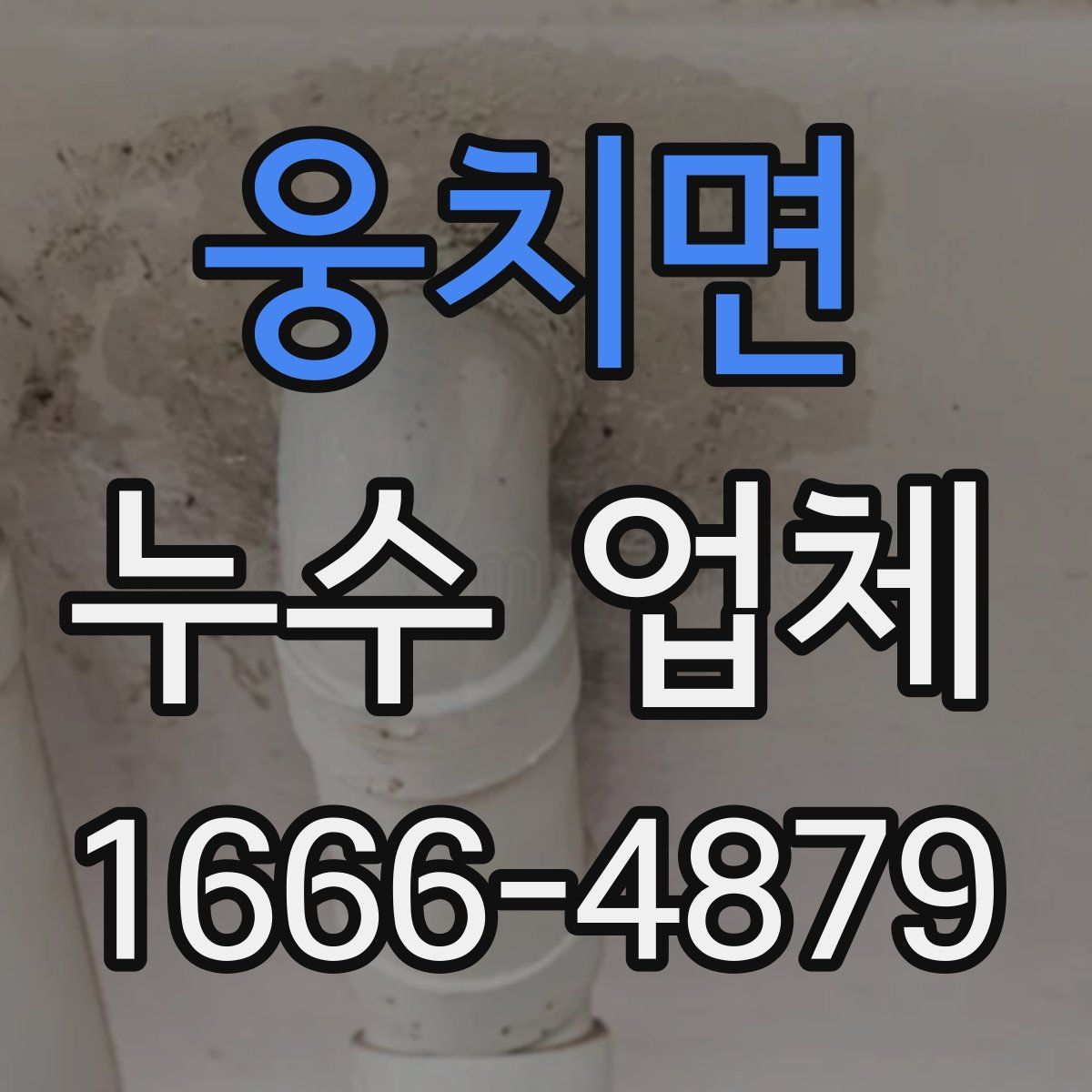 웅치면 누수 업체