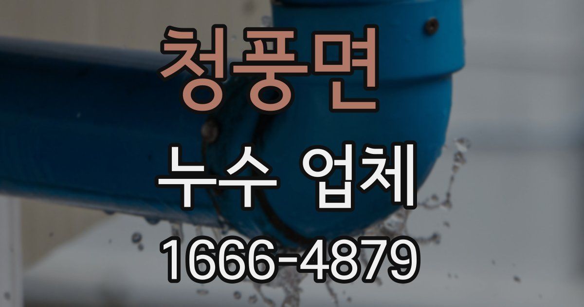 청풍면 누수 업체