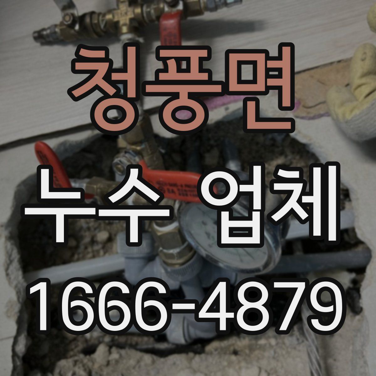 청풍면 누수 업체