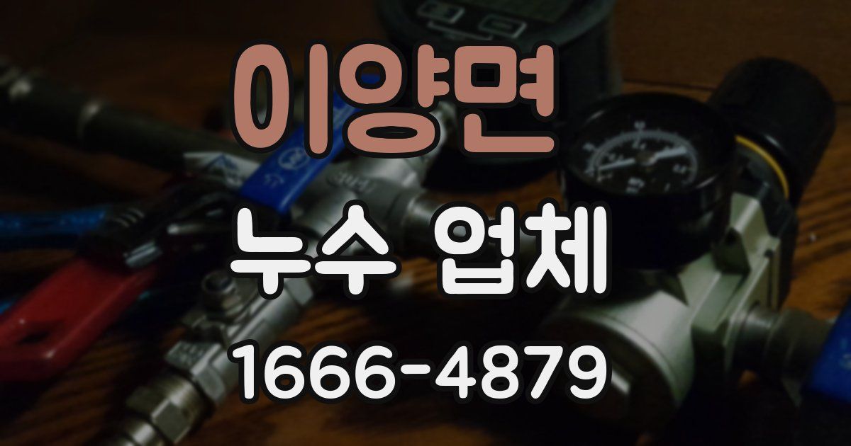 이양면 누수 업체