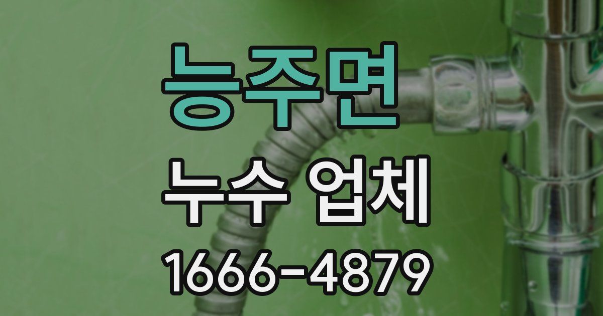 능주면 누수 업체