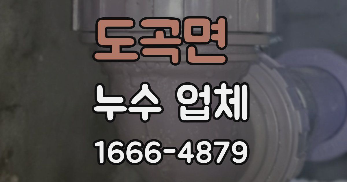 도곡면 누수 업체