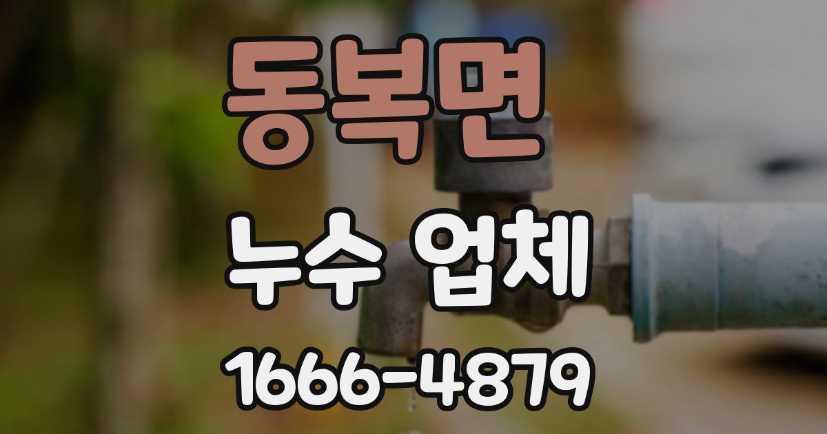 동복면 누수 업체