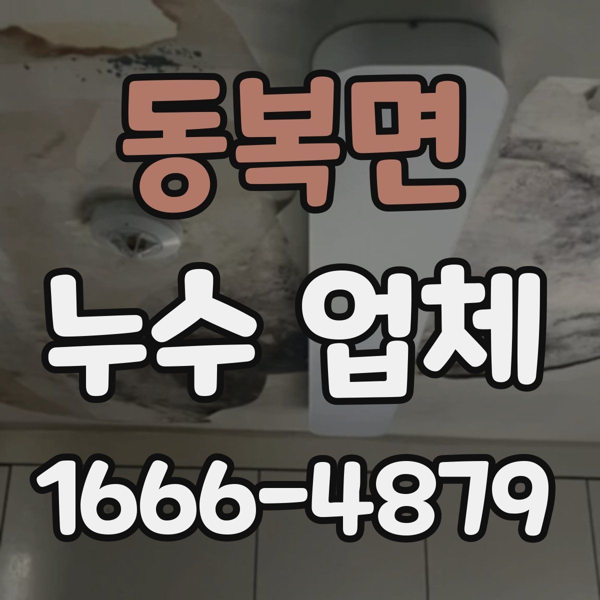 동복면 누수 업체