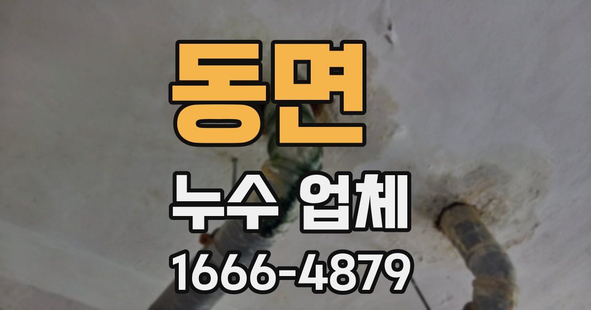 동면 누수 업체