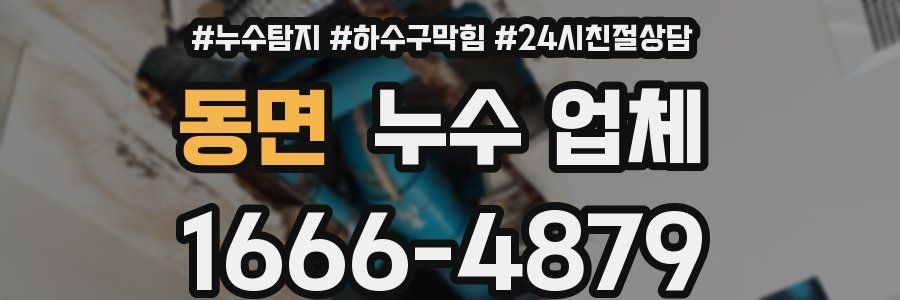 동면 누수 업체