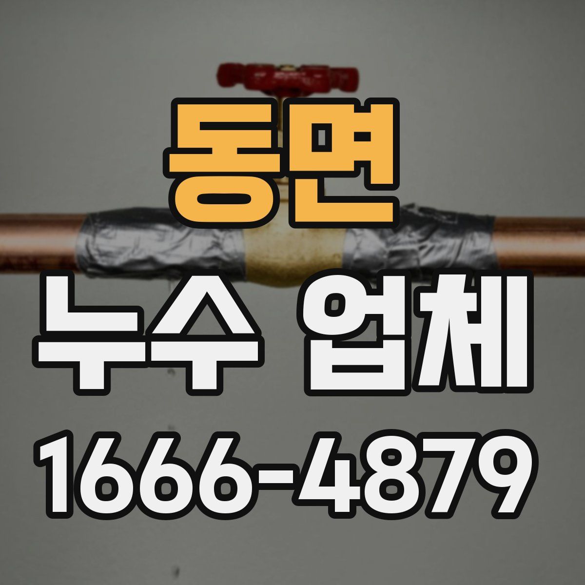 동면 누수 업체