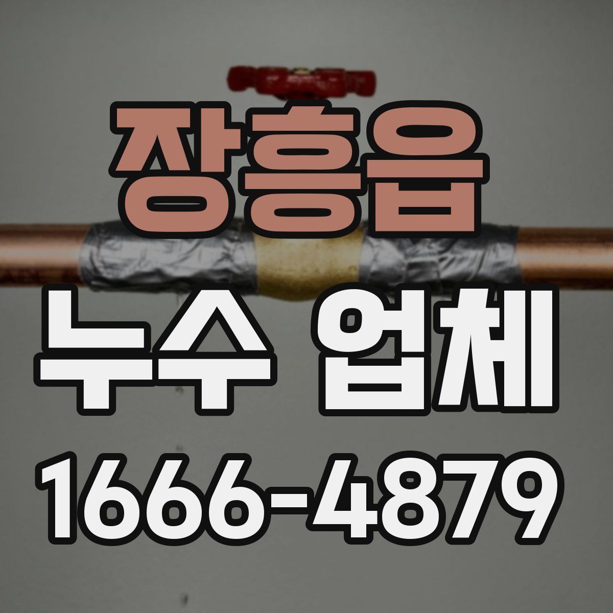 장흥읍 누수 업체