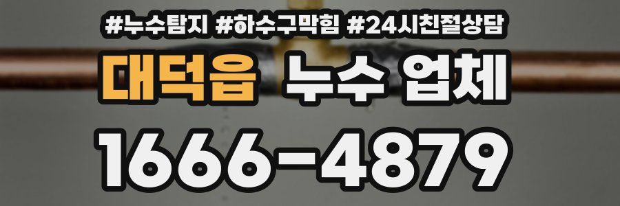 대덕읍 누수 업체