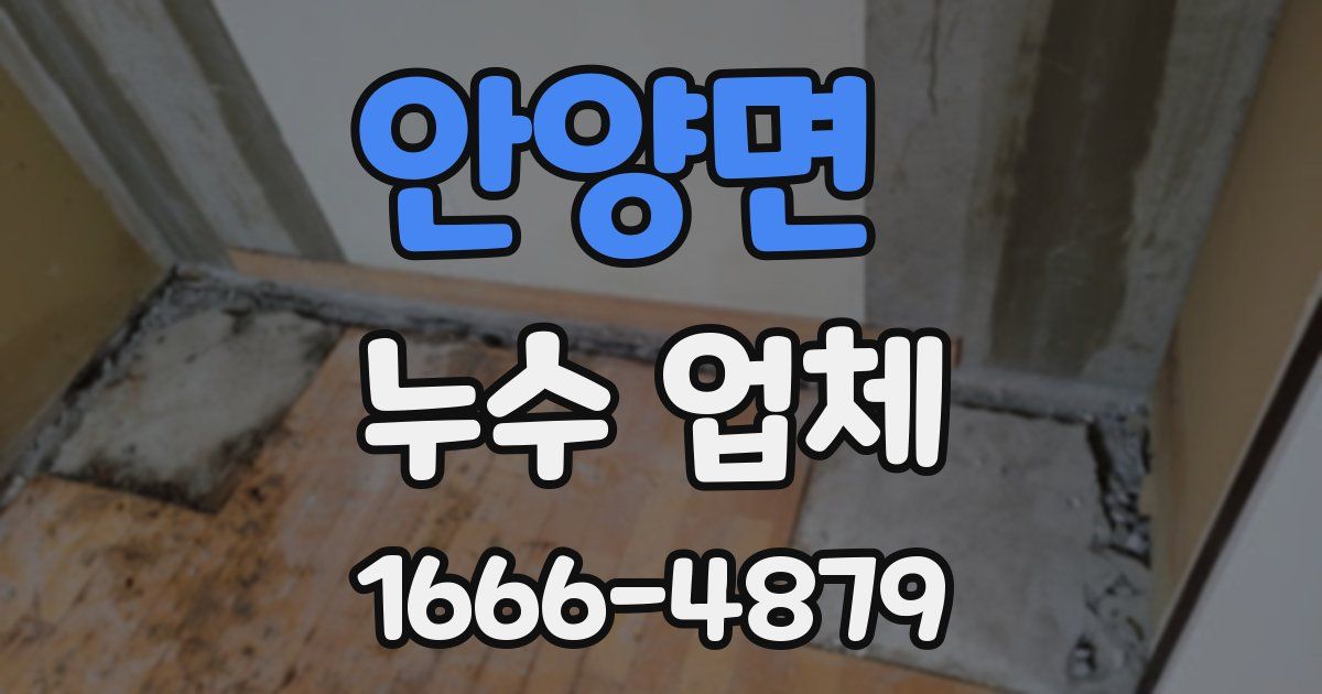안양면 누수 업체