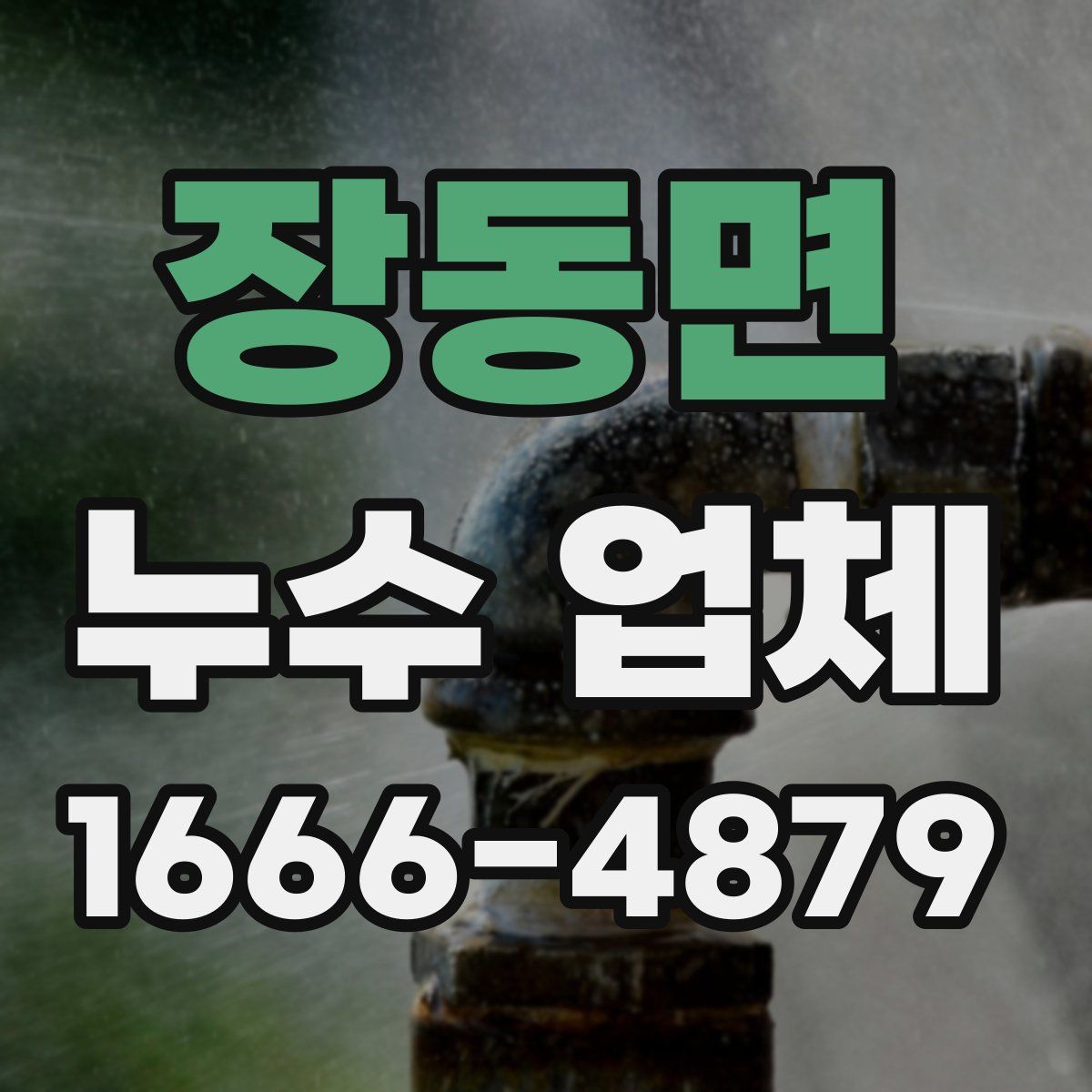 장동면 누수 업체