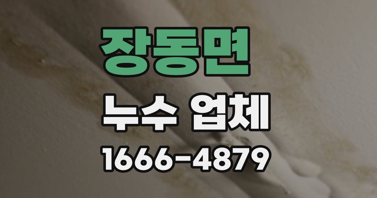 장동면 누수 업체