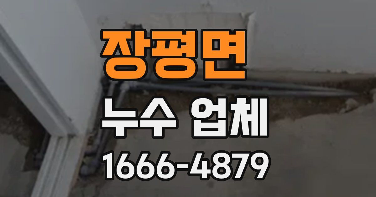 장평면 누수 업체