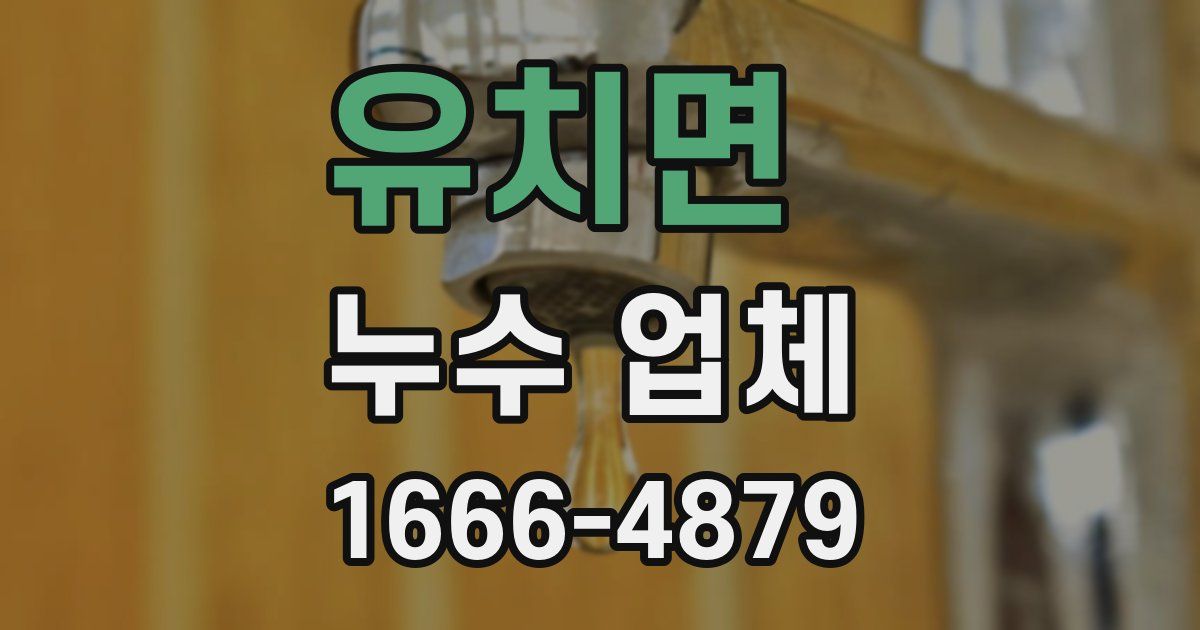 유치면 누수 업체