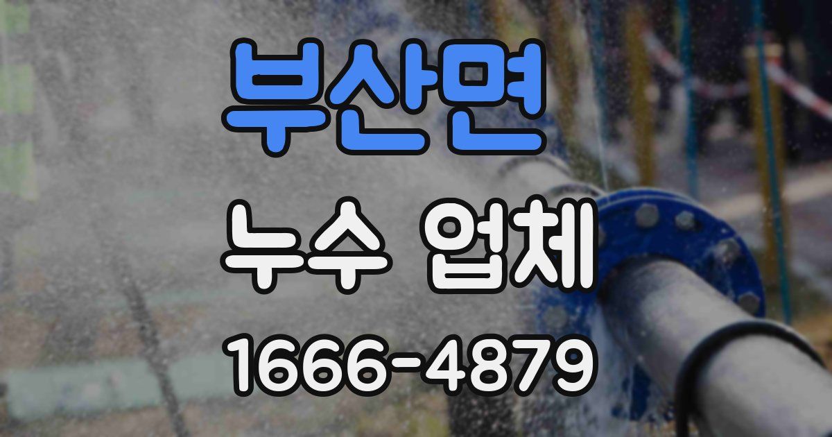 부산면 누수 업체