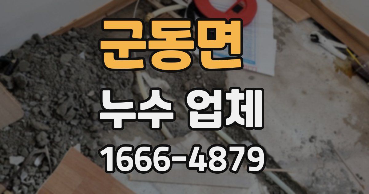 군동면 누수 업체