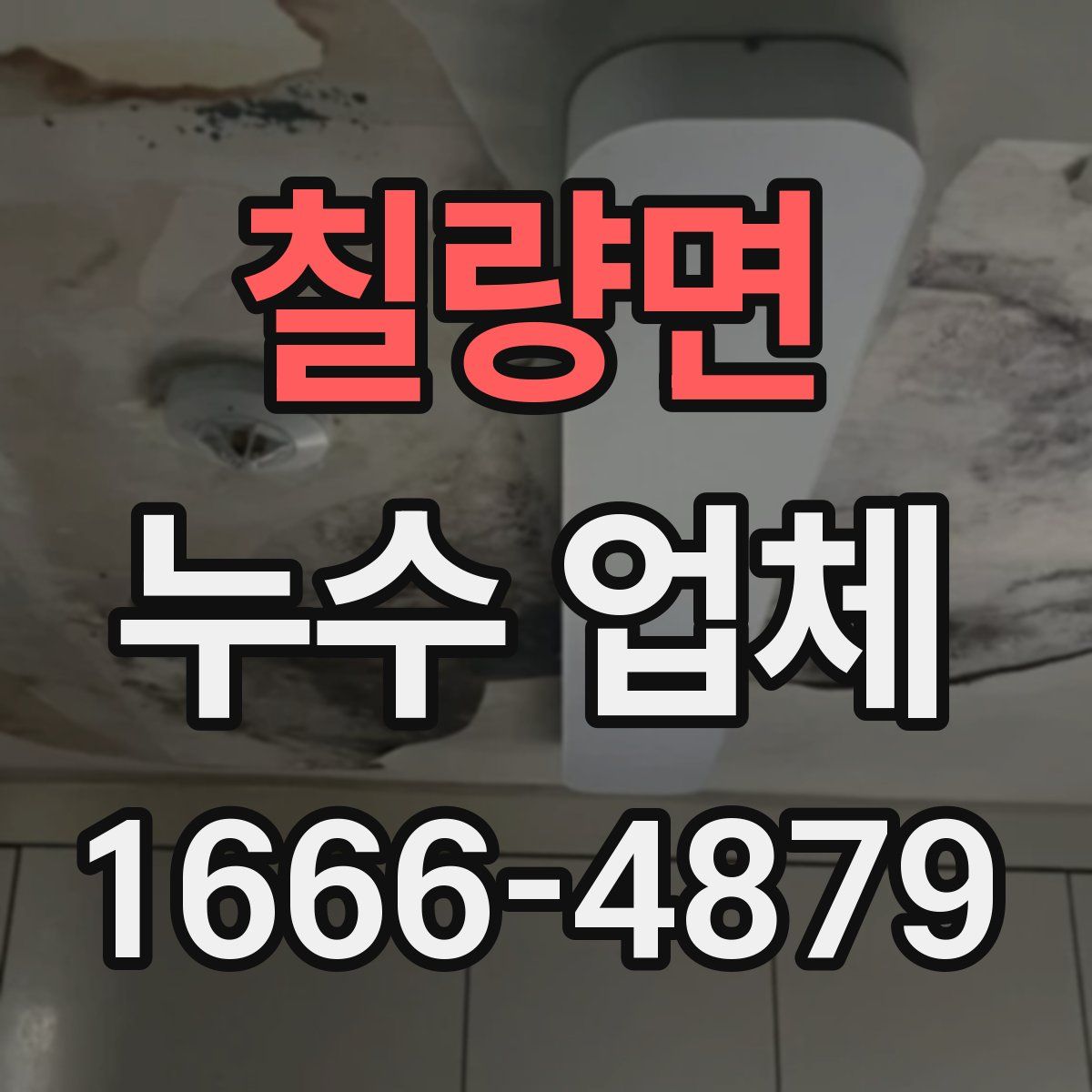 칠량면 누수 업체