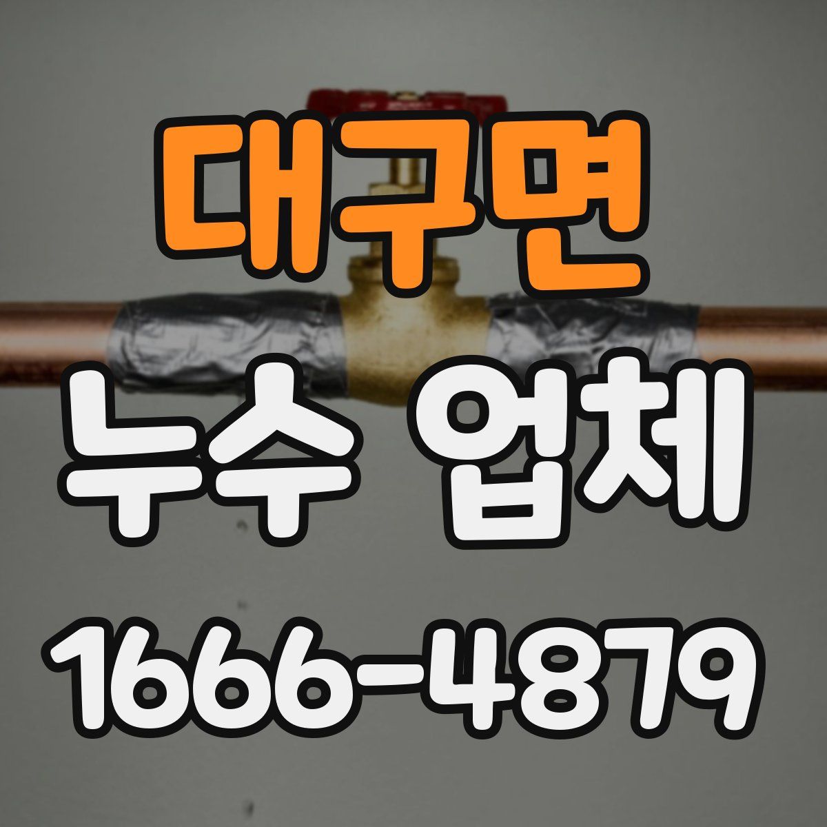 대구면 누수 업체