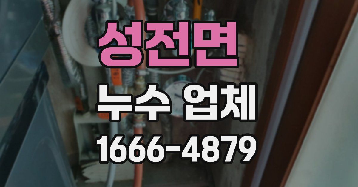 성전면 누수 업체