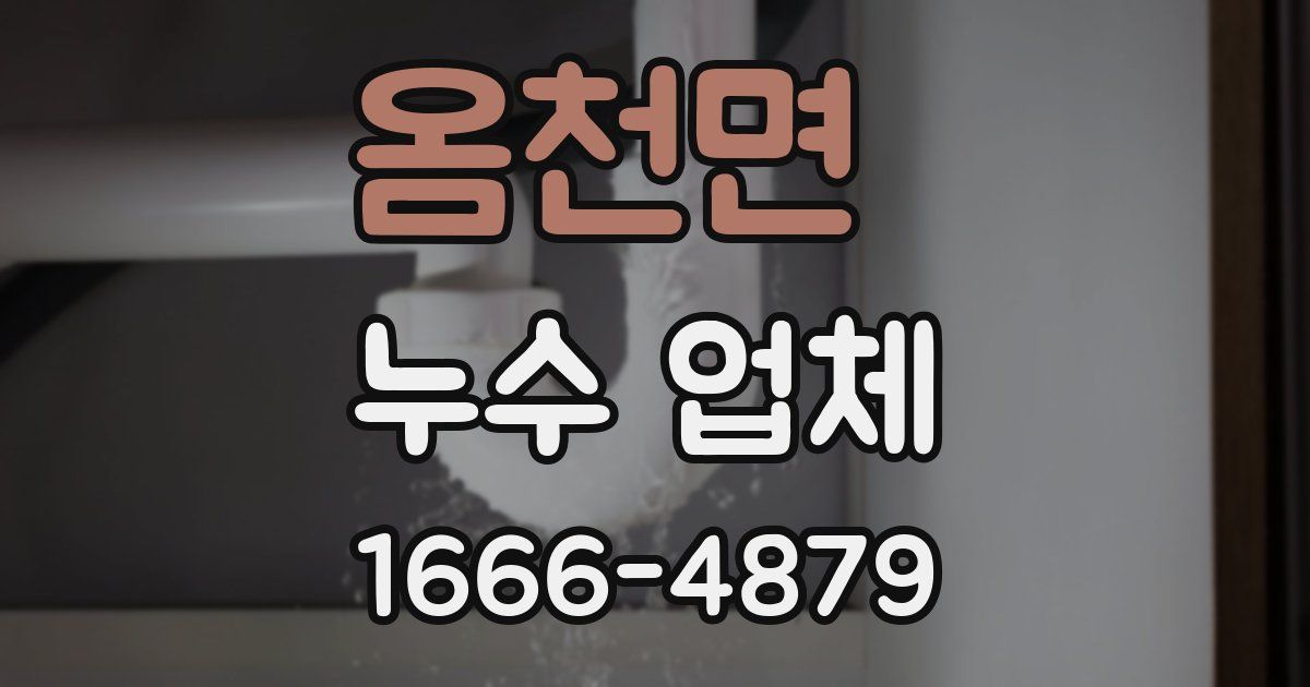 옴천면 누수 업체