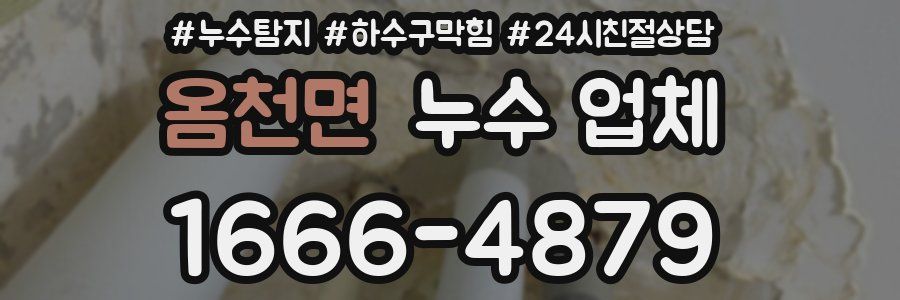 옴천면 누수 업체