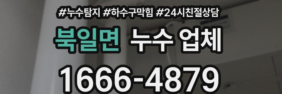 북일면 누수 업체