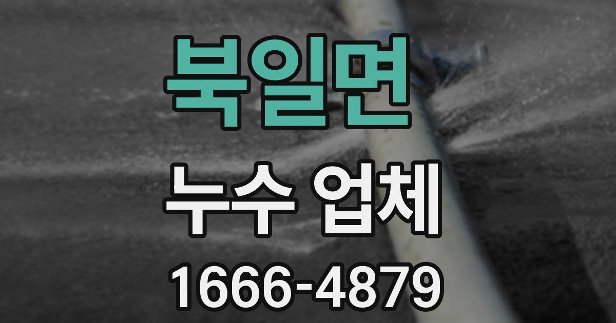 북일면 누수 업체