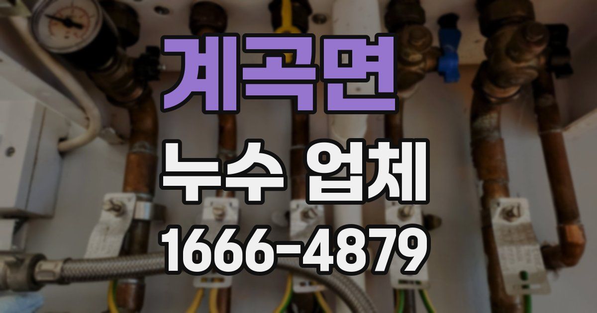 계곡면 누수 업체