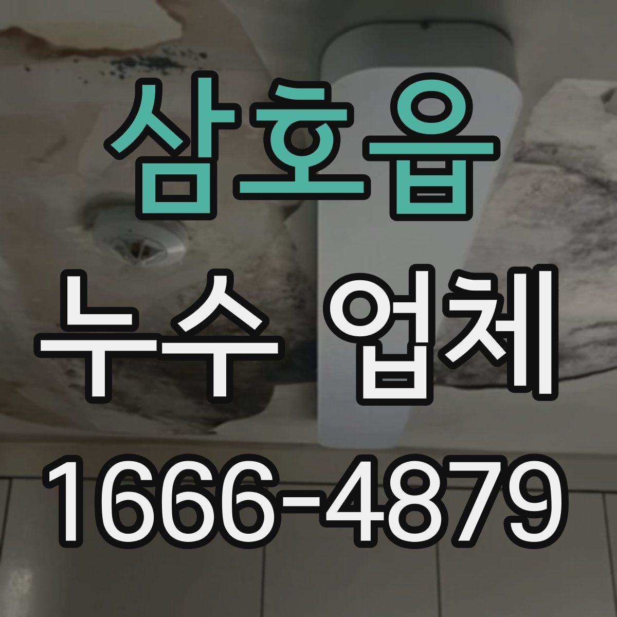 삼호읍 누수 업체