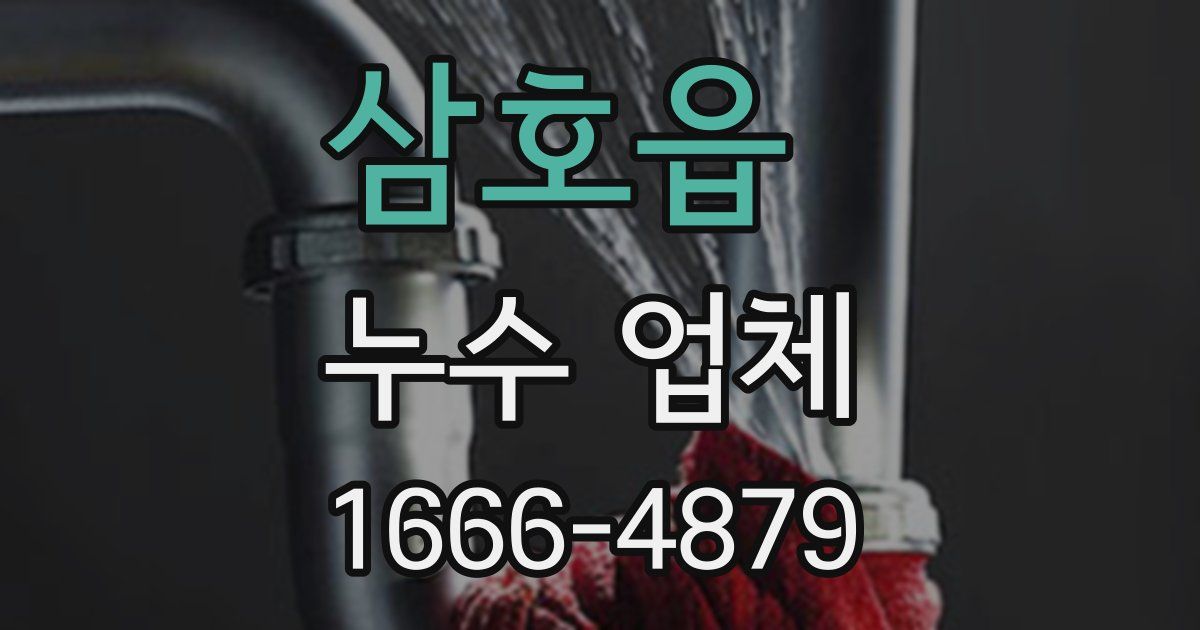 삼호읍 누수 업체