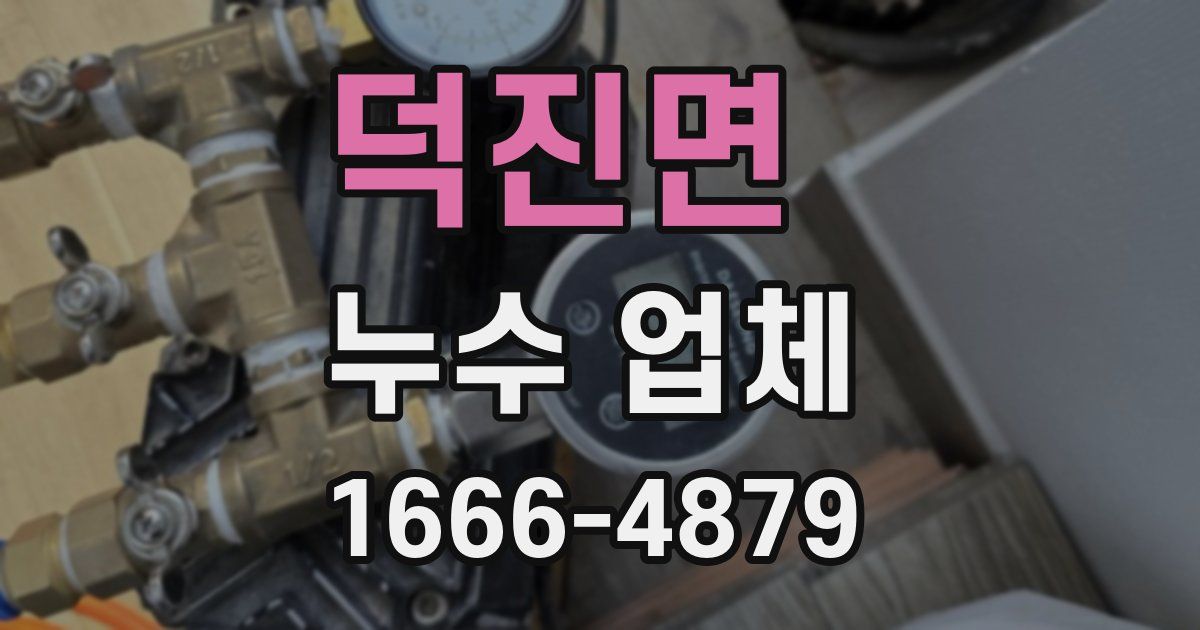 덕진면 누수 업체