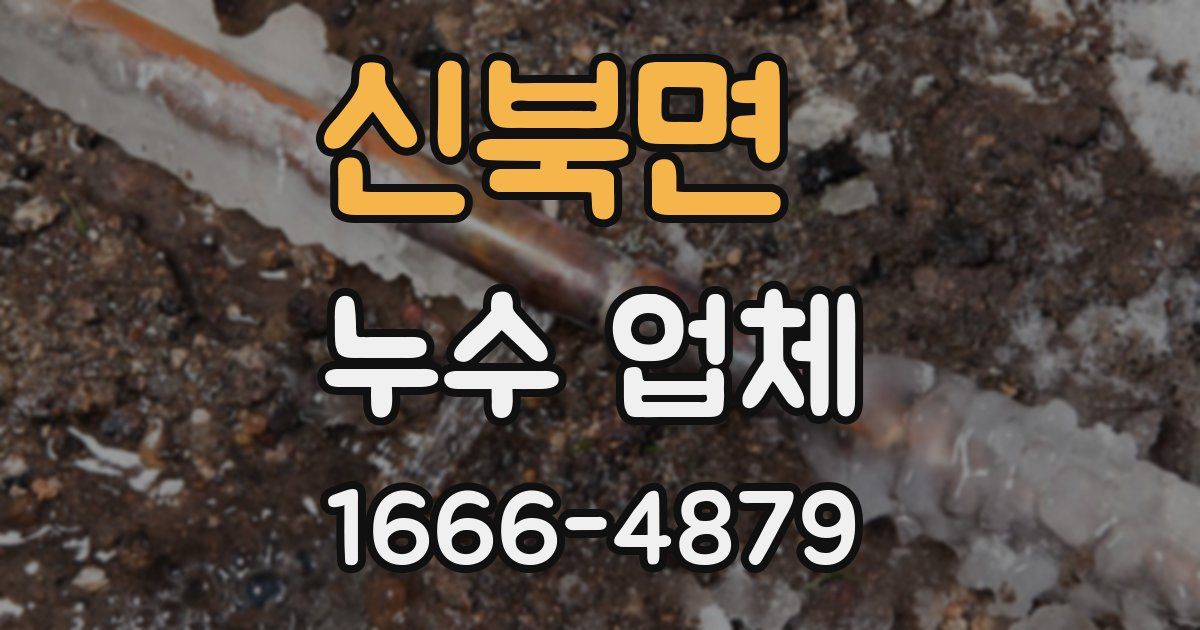 신북면 누수 업체