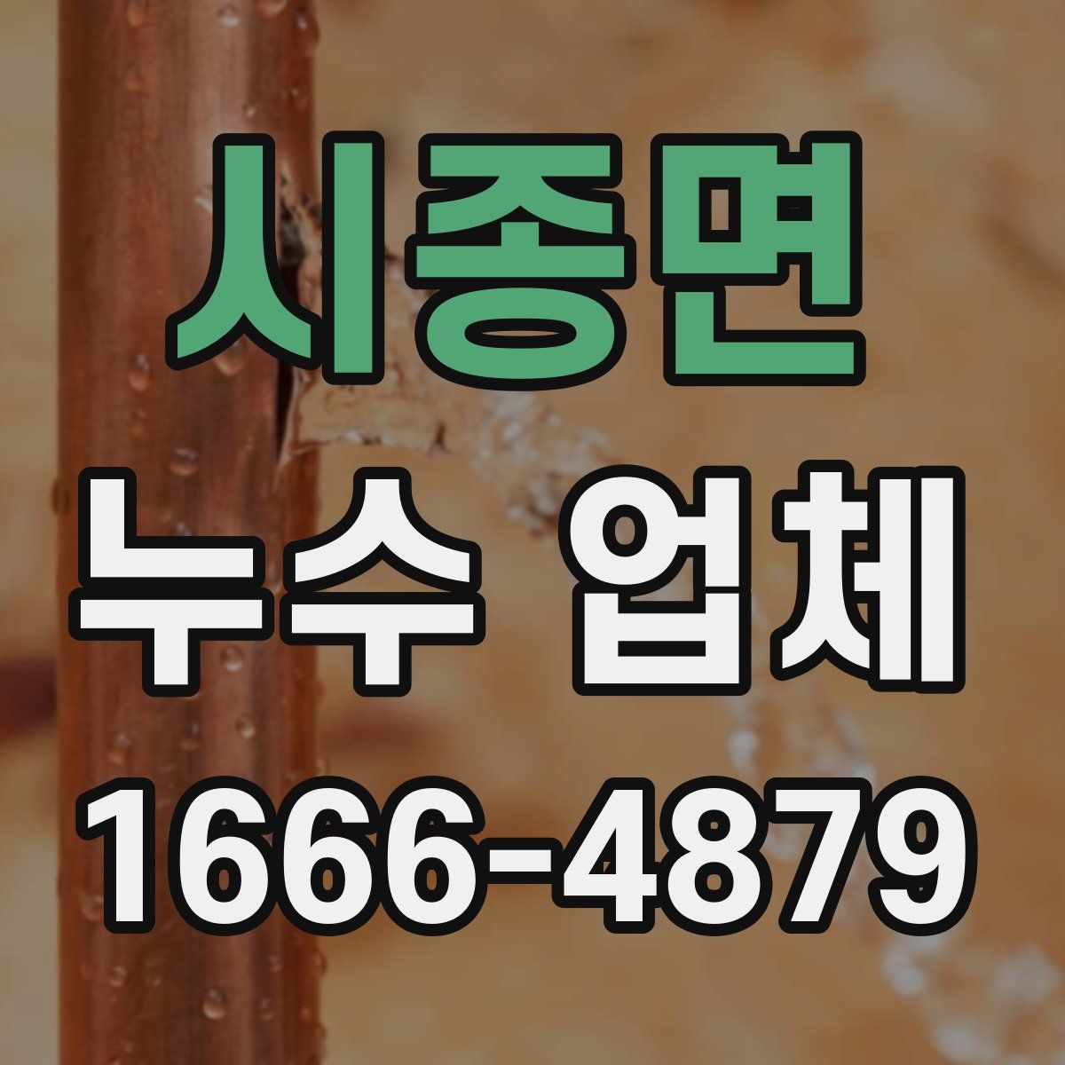 시종면 누수 업체