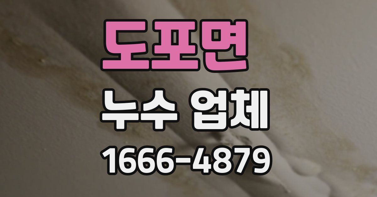 도포면 누수 업체