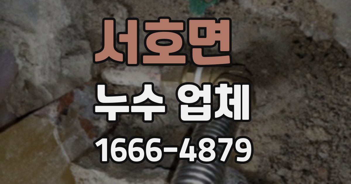 서호면 누수 업체