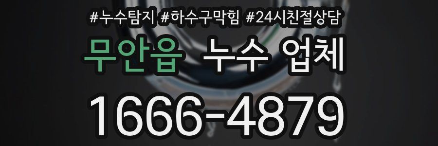 무안읍 누수 업체